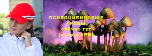 гашик Алексин