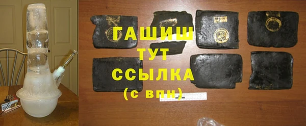 гашик Алексин