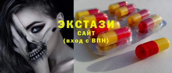 гашик Алексин