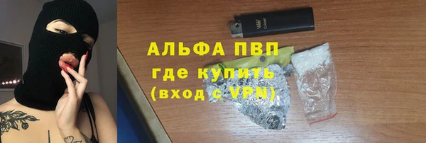 гашик Алексин