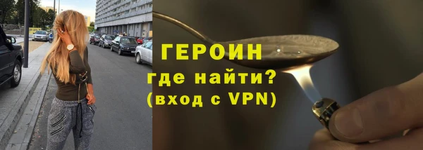 гашик Алексин