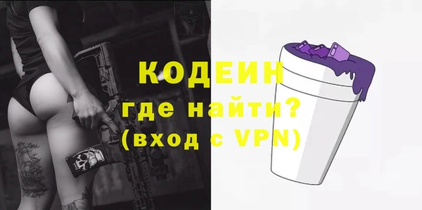 гашик Алексин