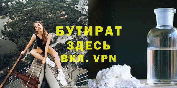 гашик Алексин