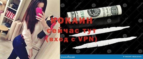 гашик Алексин